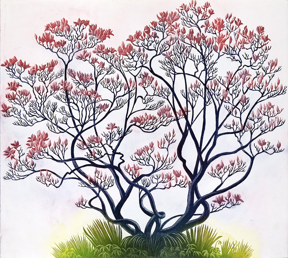 'Magnolia' by Morna Rhys