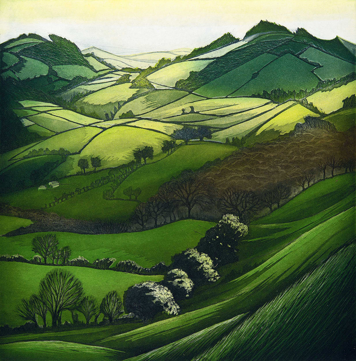 'The Dancing Hills' by Morna Rhys