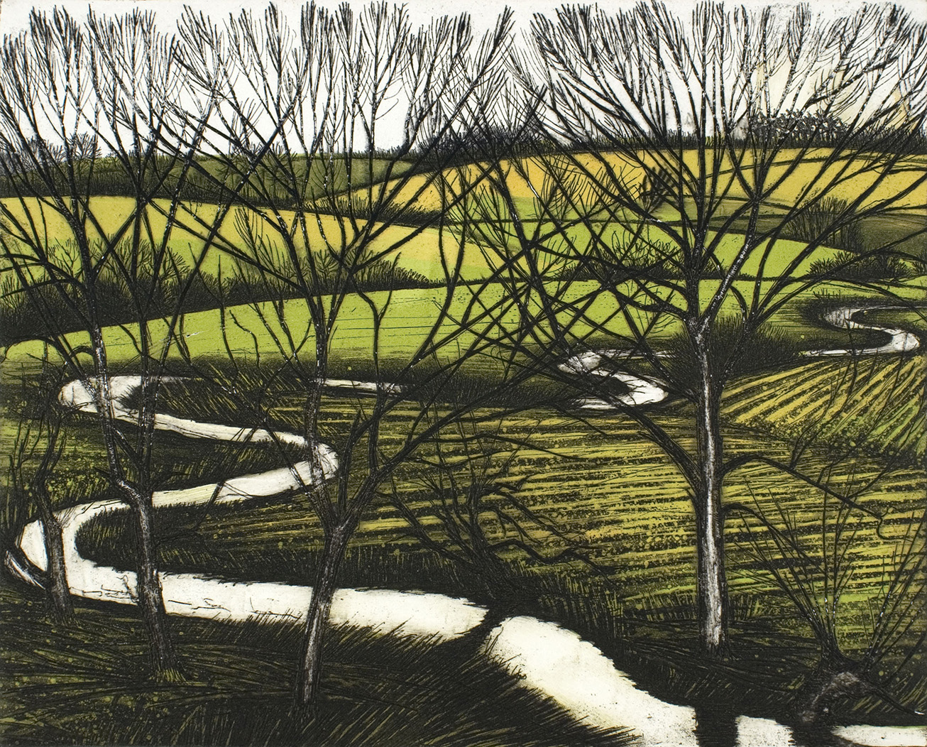 'Through the Trees' by Morna Rhys