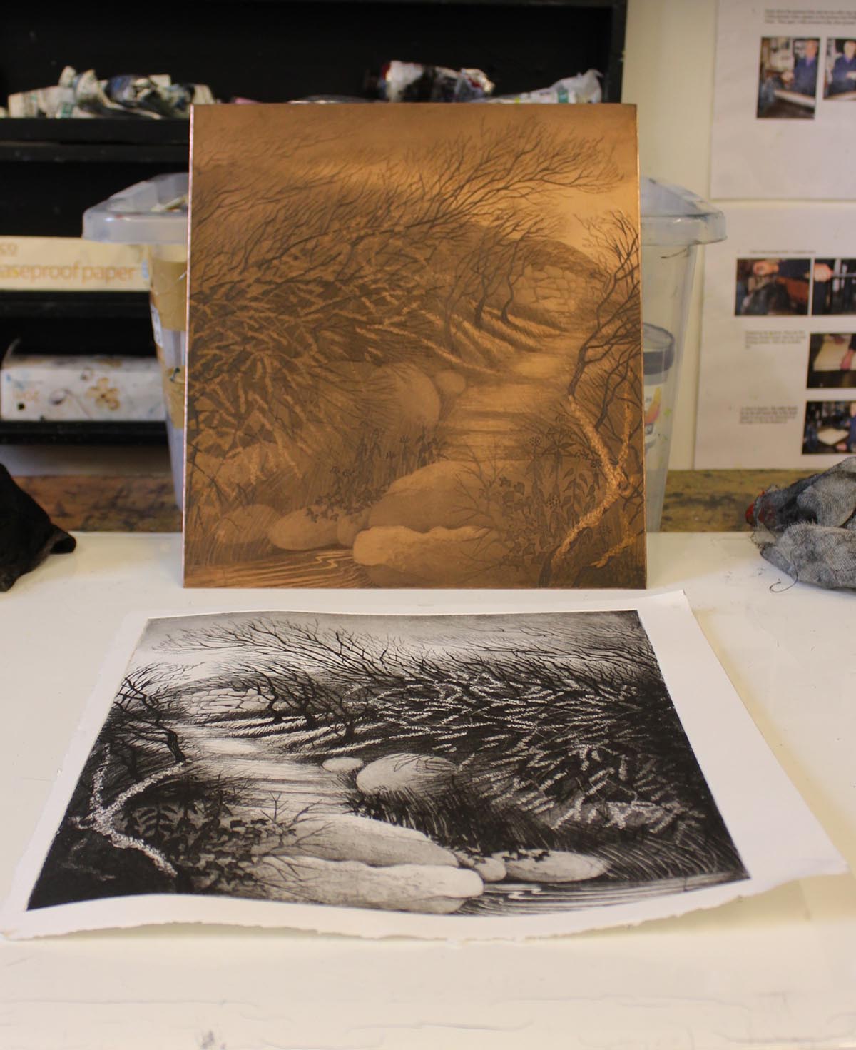Copper plate etching and printed work by Morna Rhys