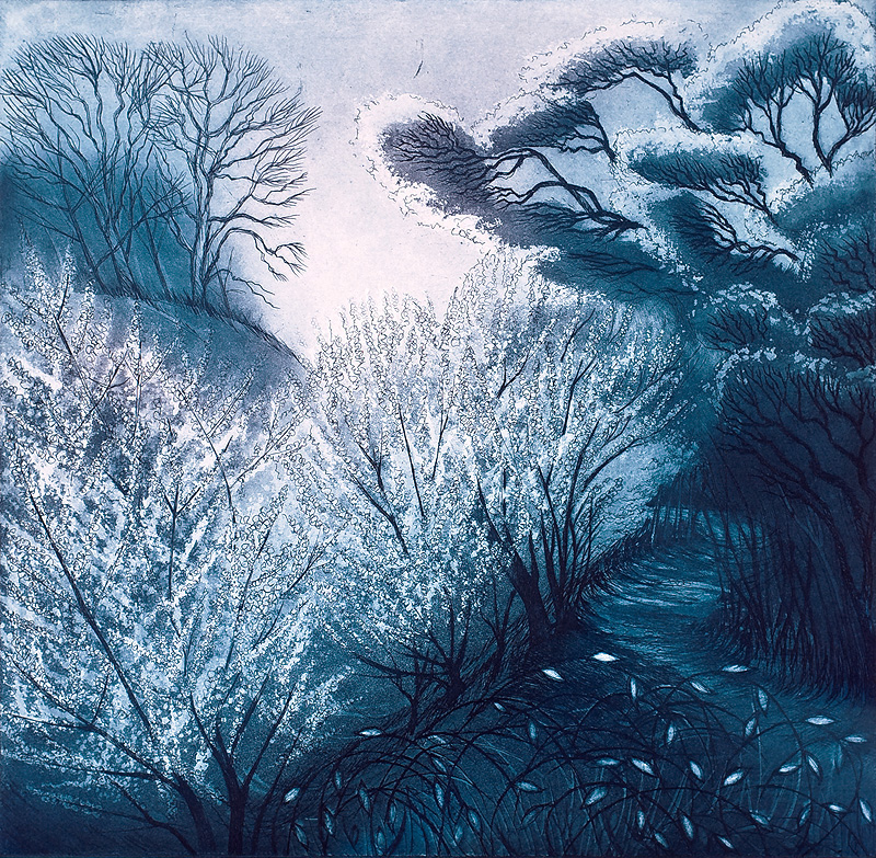 'Blackthorn Blossom' by Morna Rhys