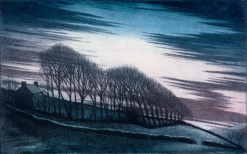 'Nightfall' by Morna Rhys