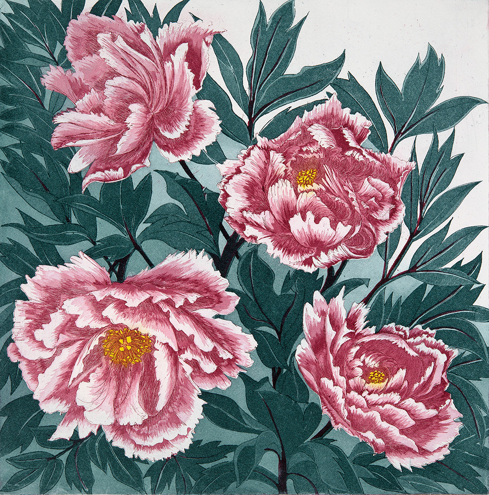 'Peony' by Morna Rhys