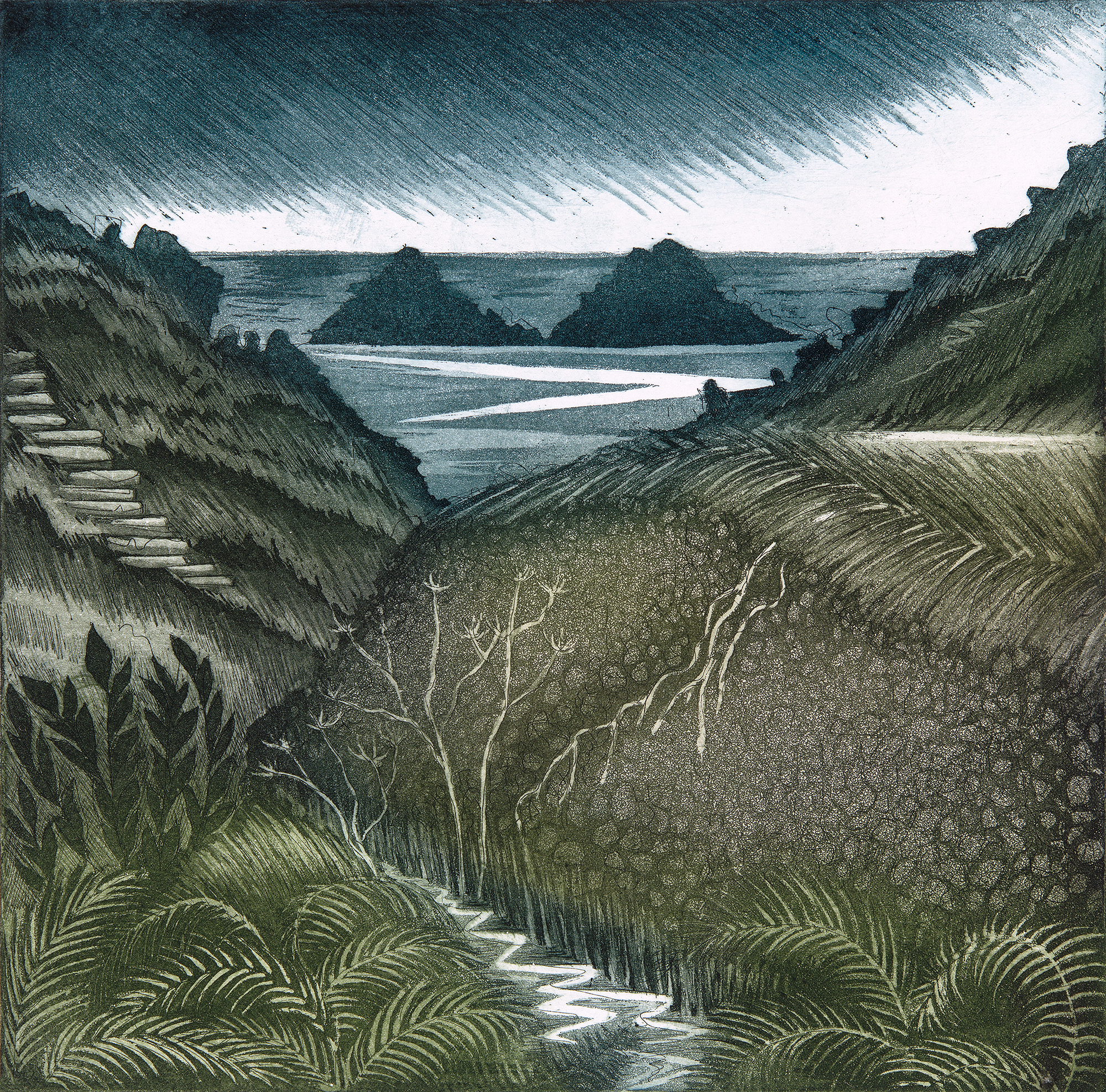 'Rain Coming ' by Morna Rhys