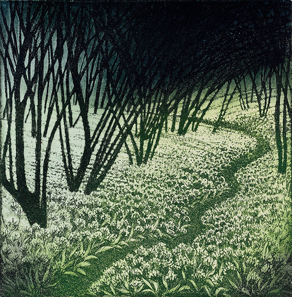 'Ramson Path' by Morna Rhys