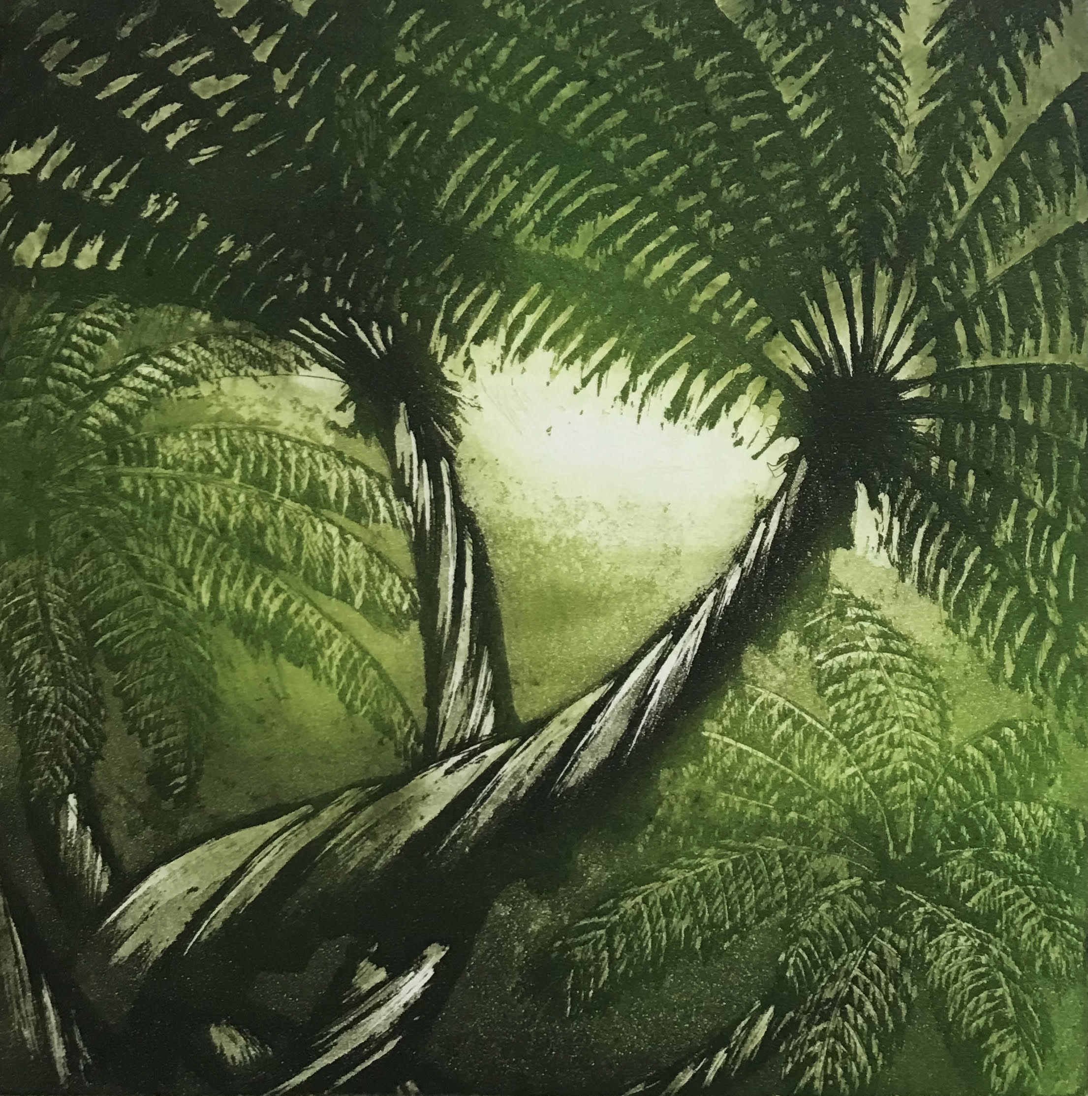 'Trewidden Tree Fern' by Morna Rhys