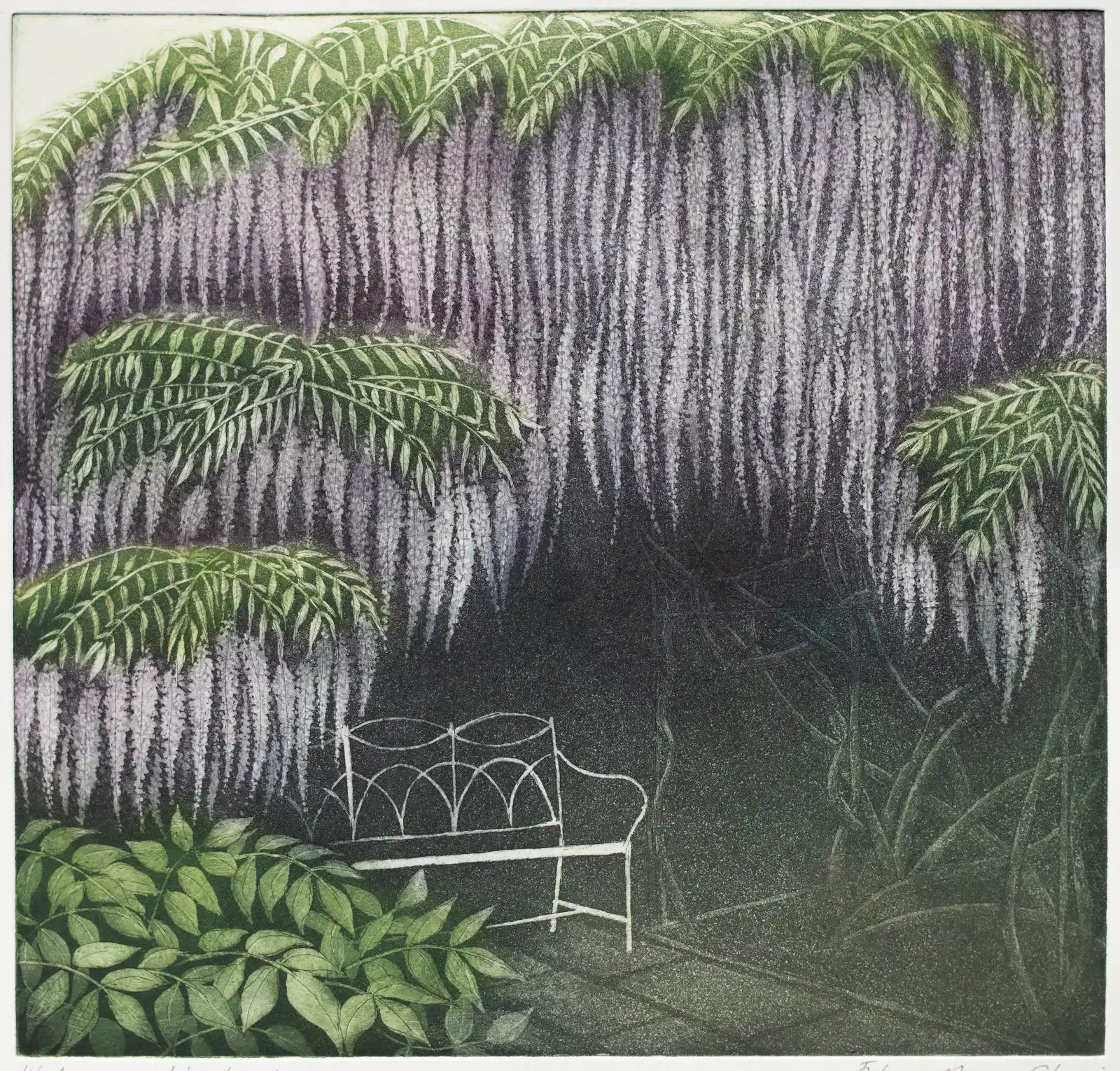 'Waterperry Wisteria' by Morna Rhys